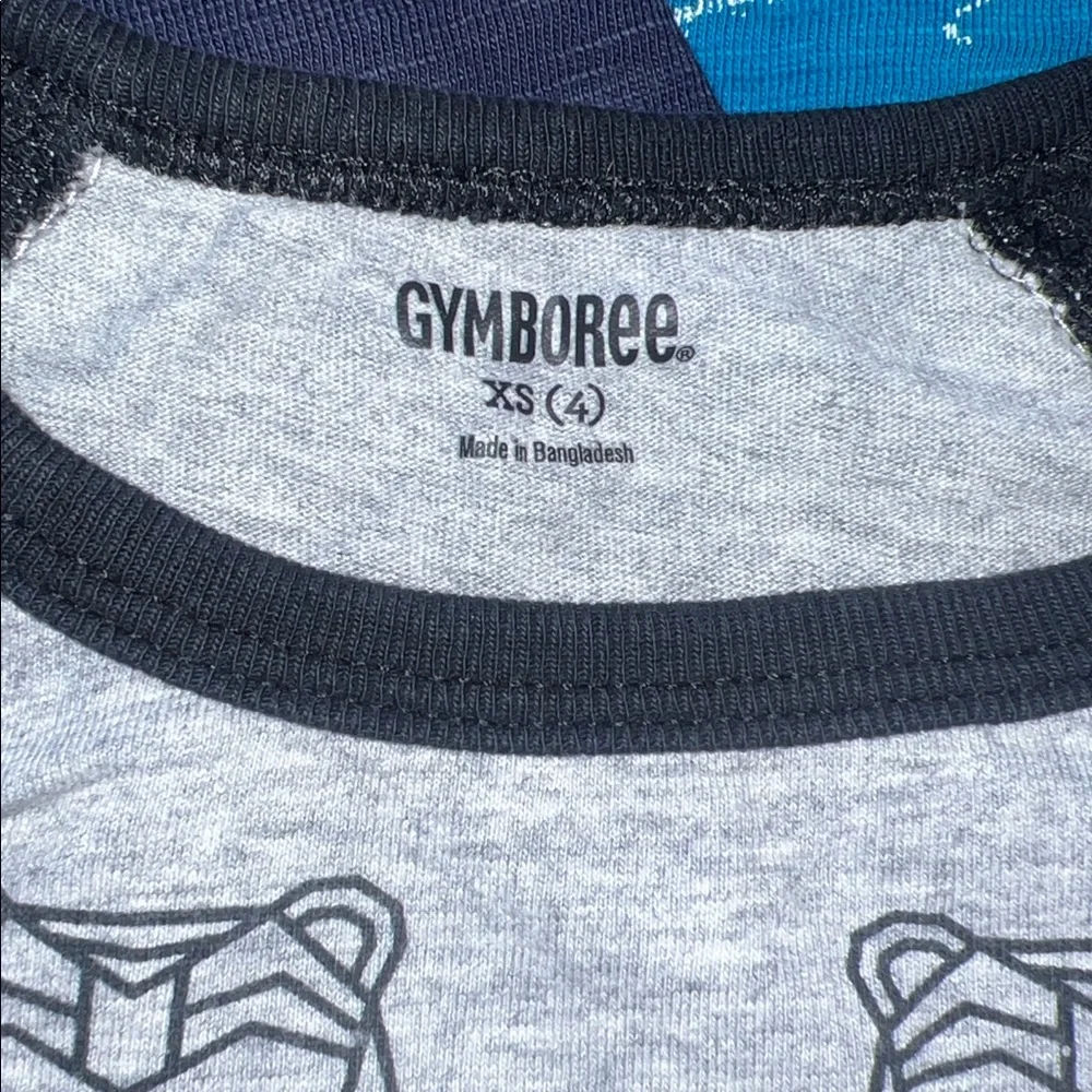 Gymboree Raglan Long Sleeve Tees - 4